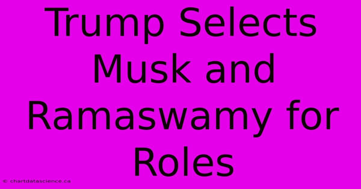 Trump Selects Musk And Ramaswamy For Roles