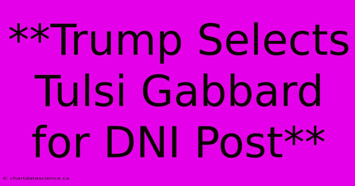 **Trump Selects Tulsi Gabbard For DNI Post** 