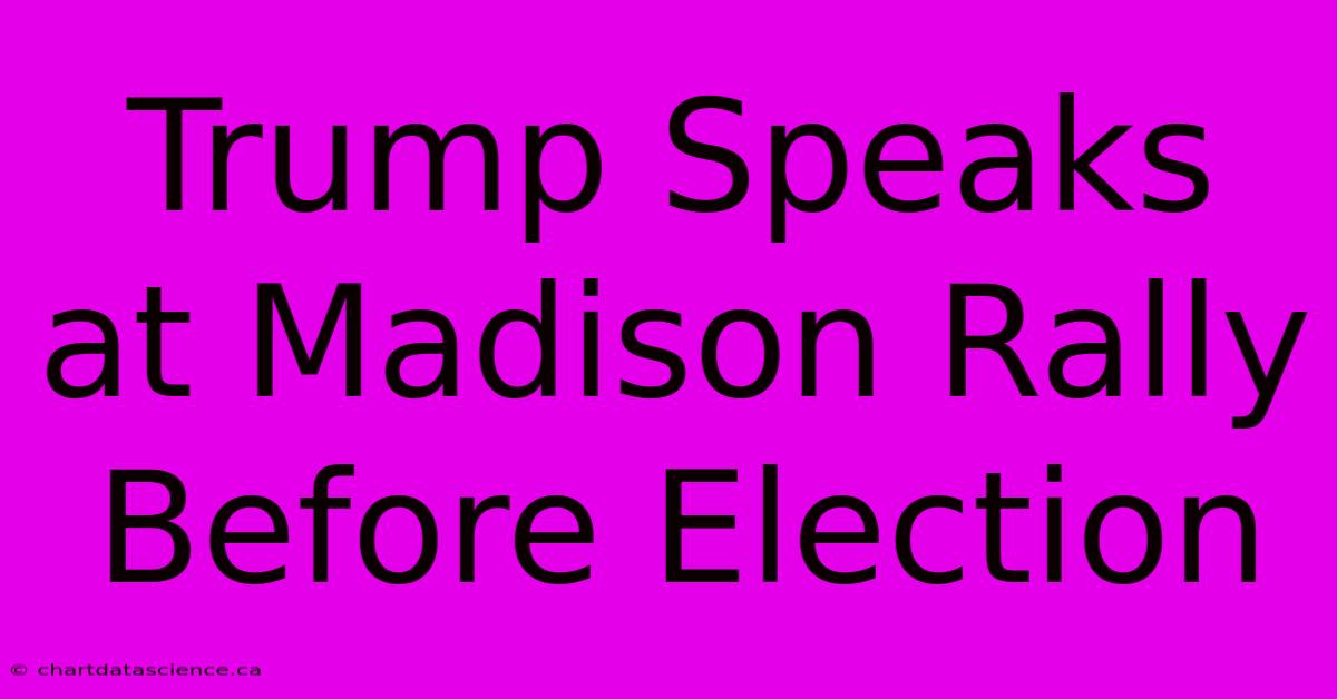 Trump Speaks At Madison Rally Before Election