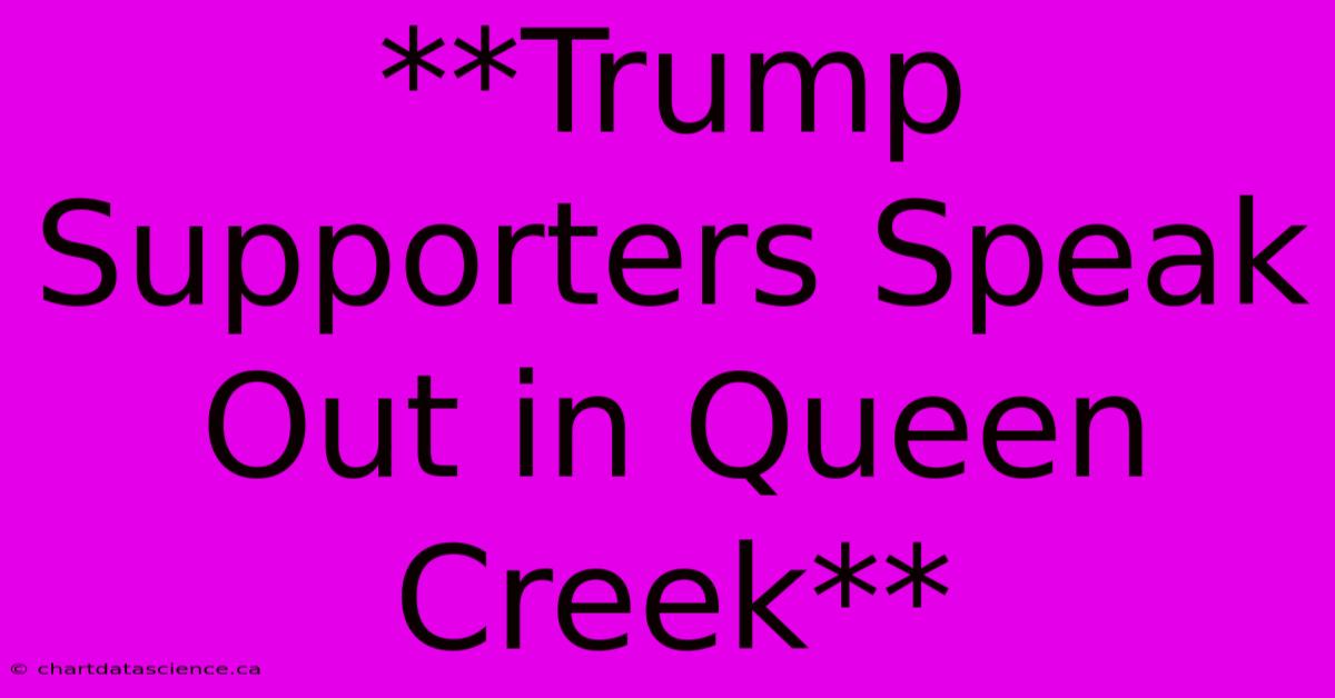 **Trump Supporters Speak Out In Queen Creek**