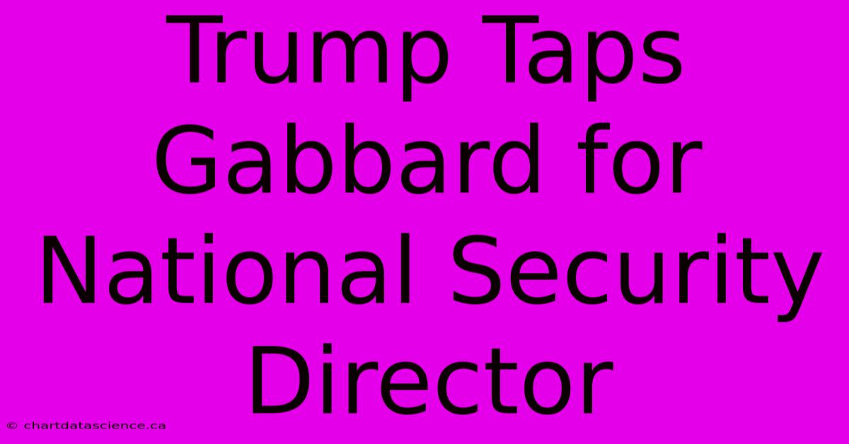 Trump Taps Gabbard For National Security Director 