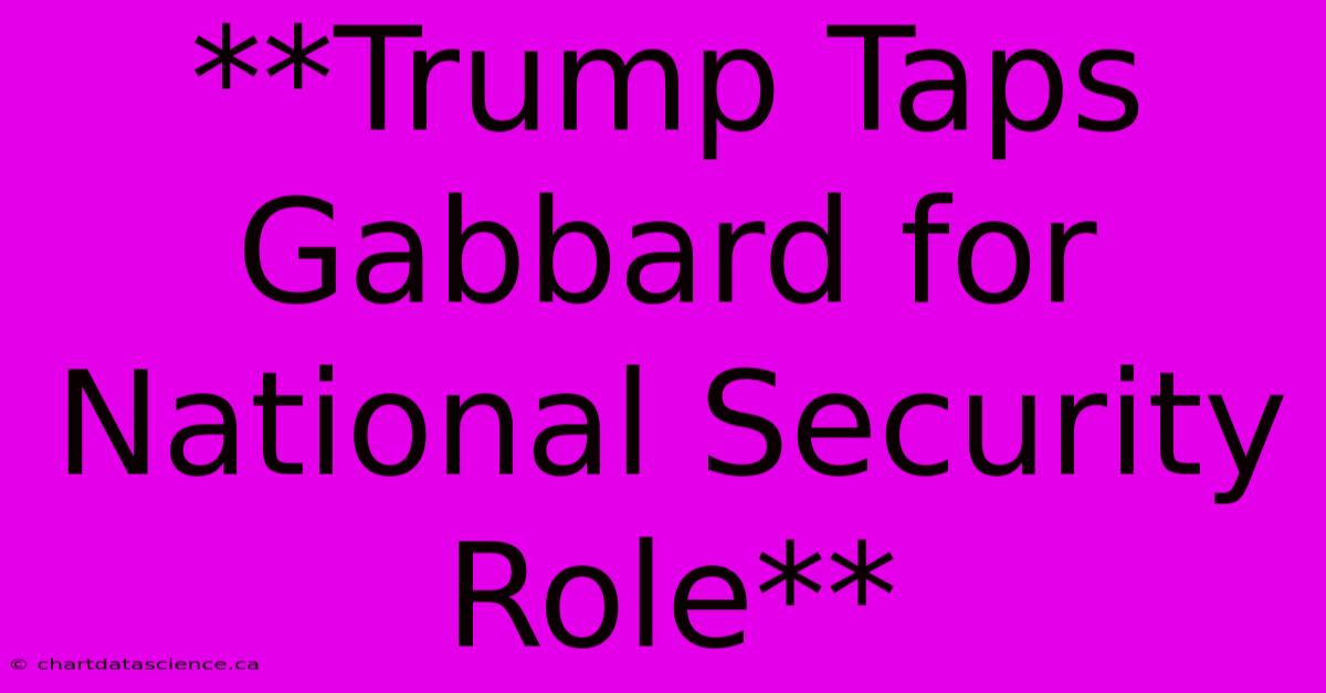 **Trump Taps Gabbard For National Security Role** 