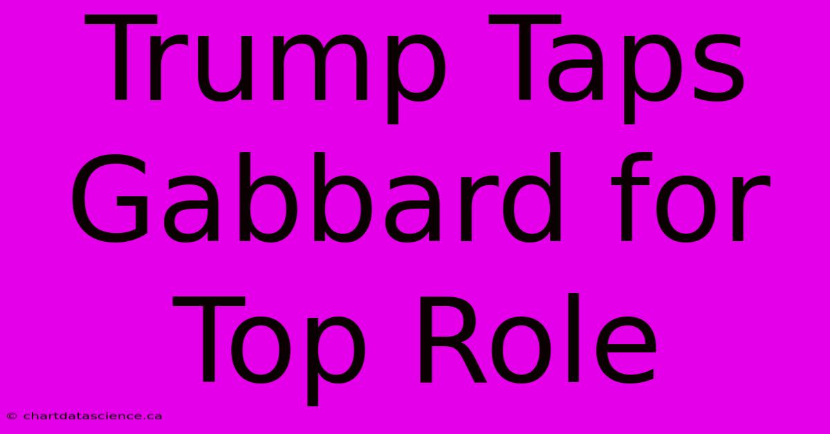 Trump Taps Gabbard For Top Role