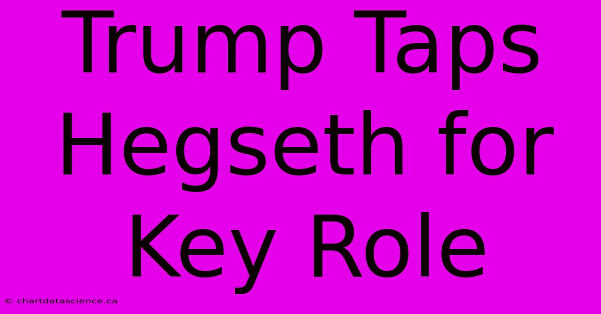 Trump Taps Hegseth For Key Role 