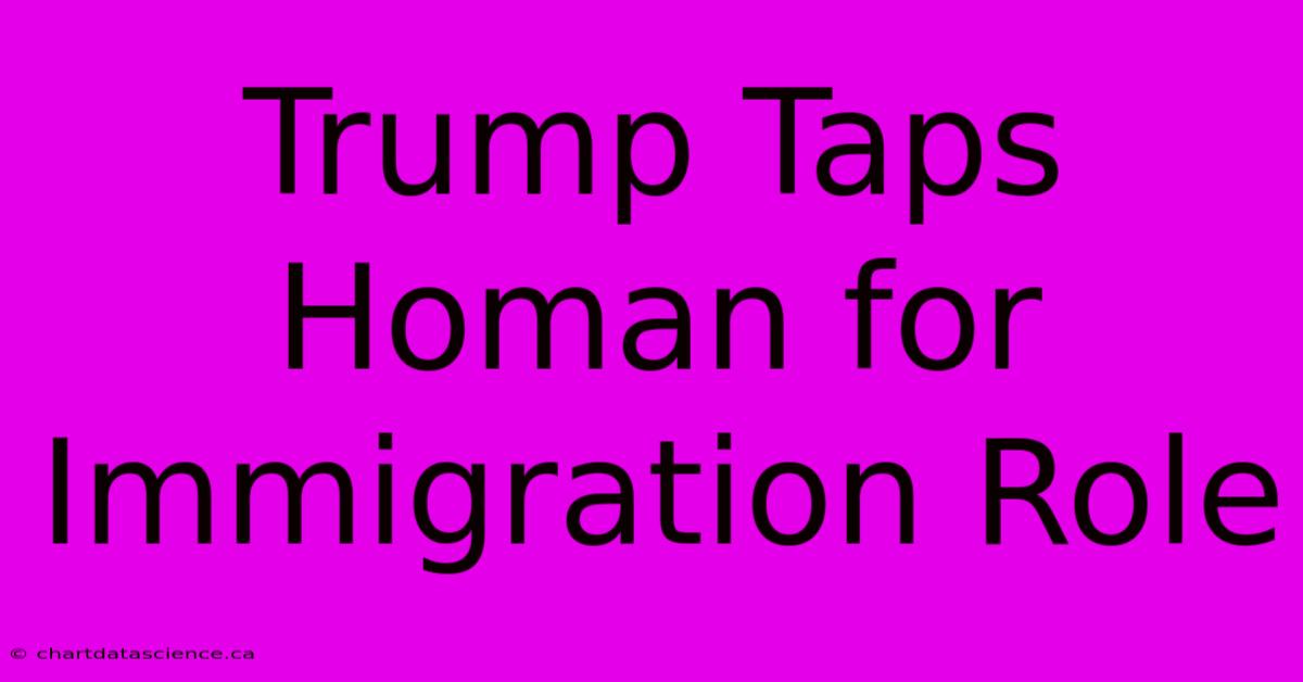 Trump Taps Homan For Immigration Role