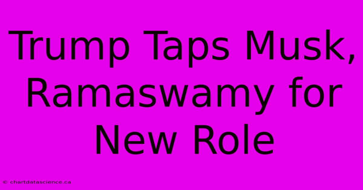 Trump Taps Musk, Ramaswamy For New Role