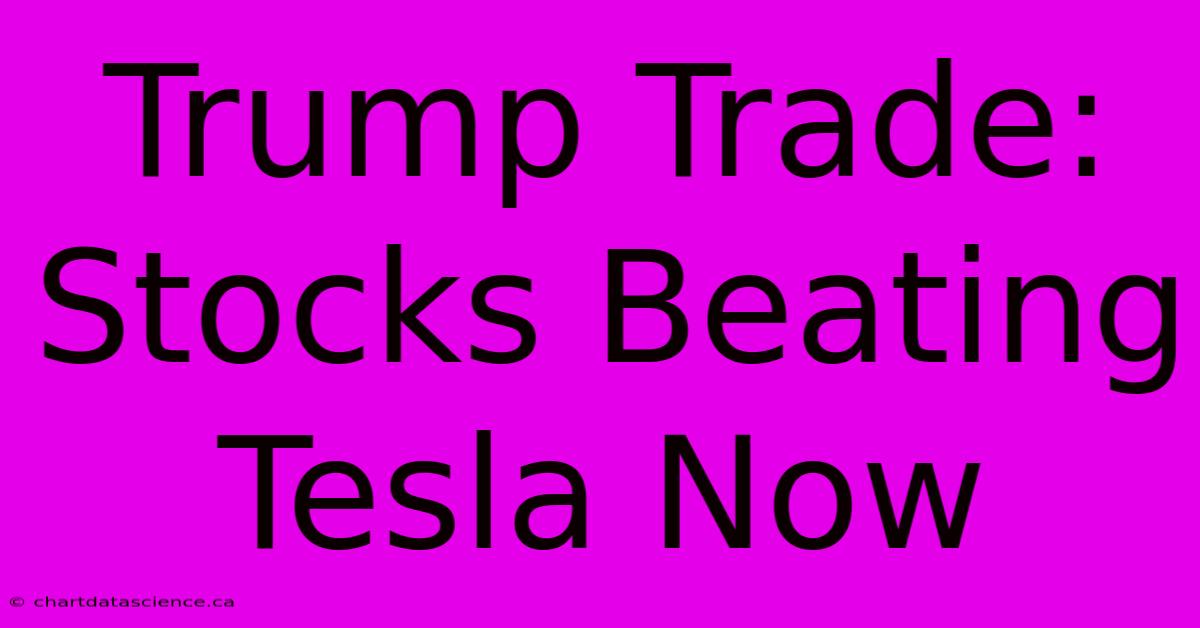 Trump Trade: Stocks Beating Tesla Now