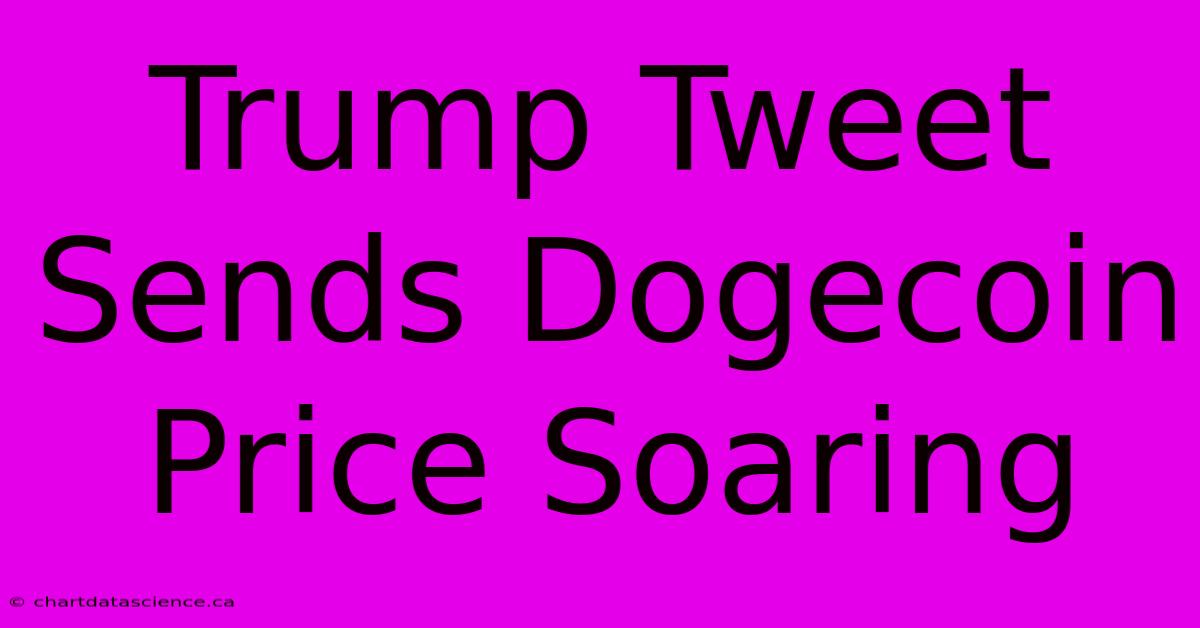 Trump Tweet Sends Dogecoin Price Soaring