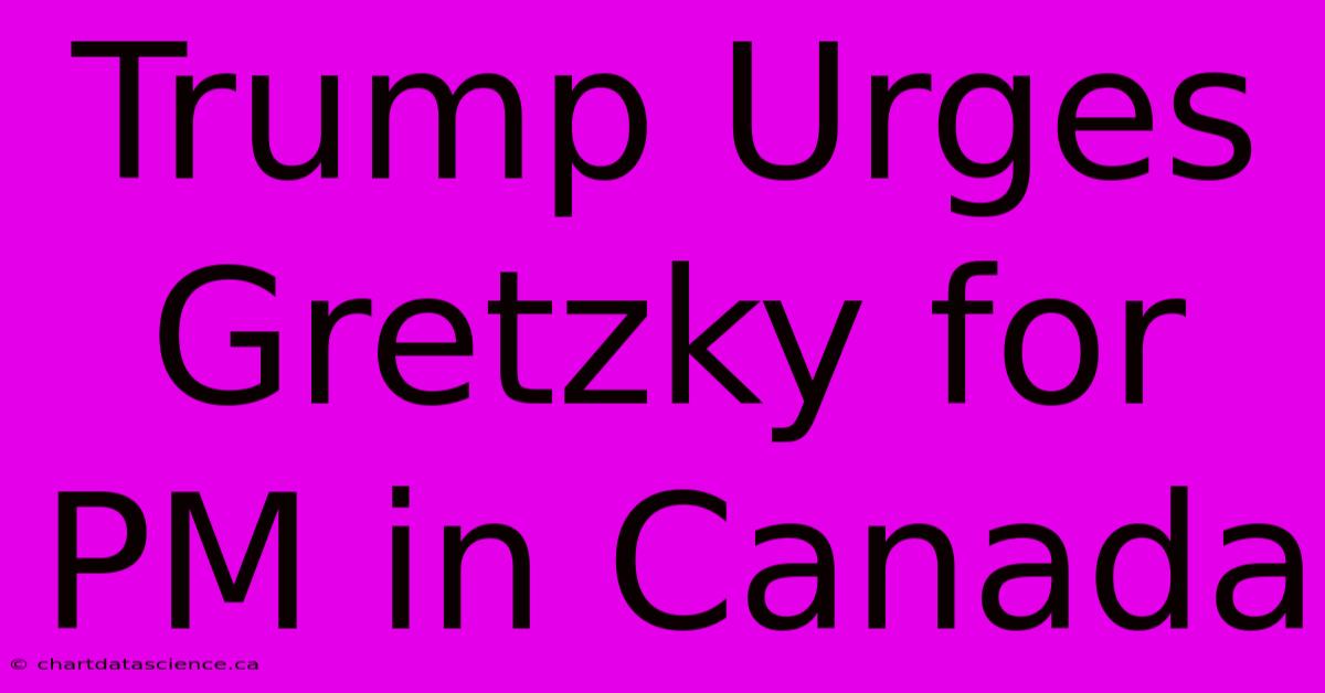 Trump Urges Gretzky For PM In Canada