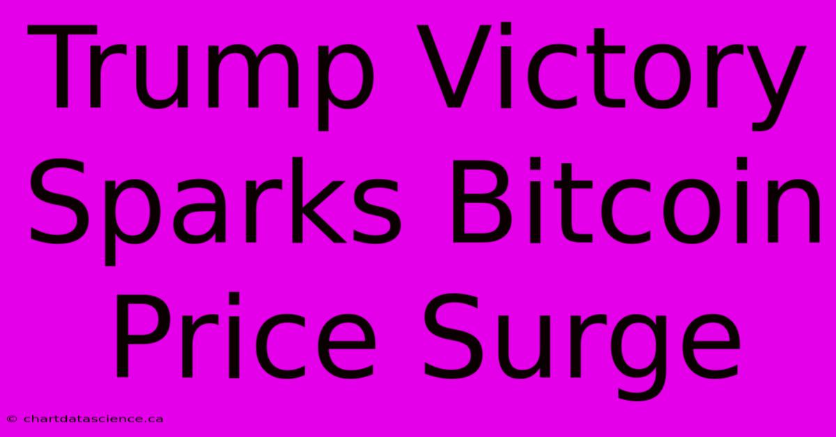 Trump Victory Sparks Bitcoin Price Surge