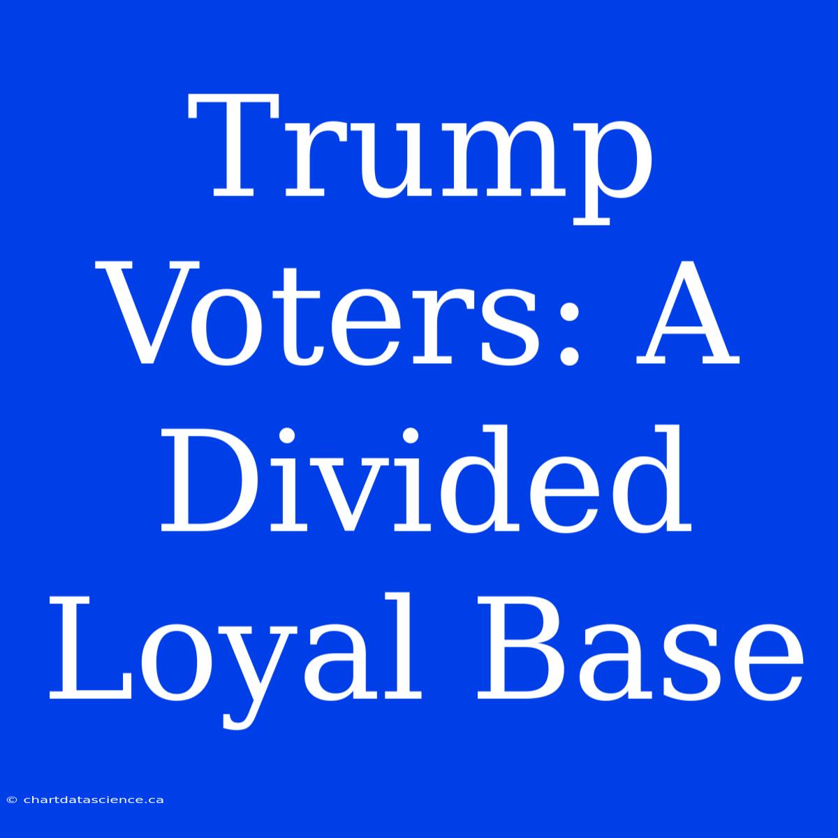 Trump Voters: A Divided Loyal Base