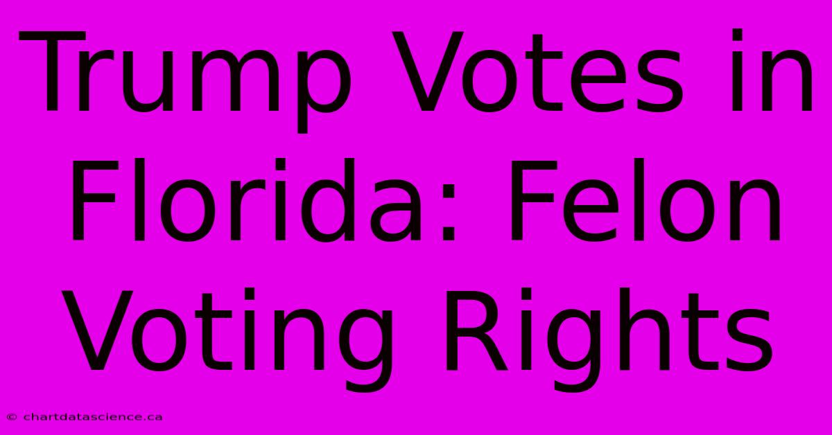 Trump Votes In Florida: Felon Voting Rights