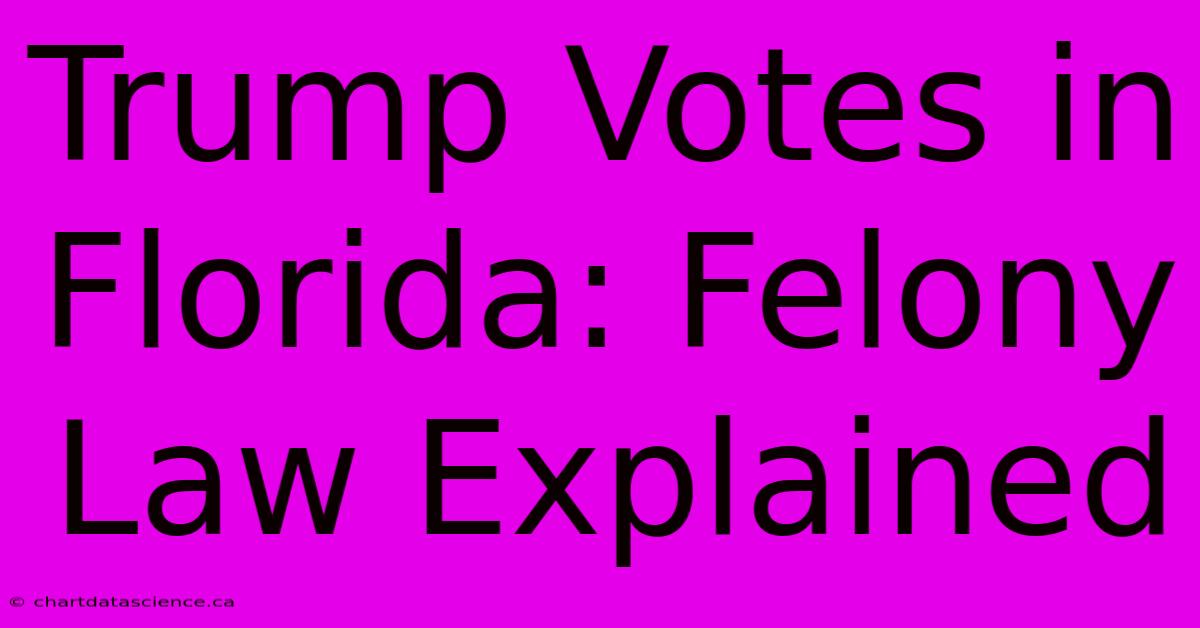 Trump Votes In Florida: Felony Law Explained