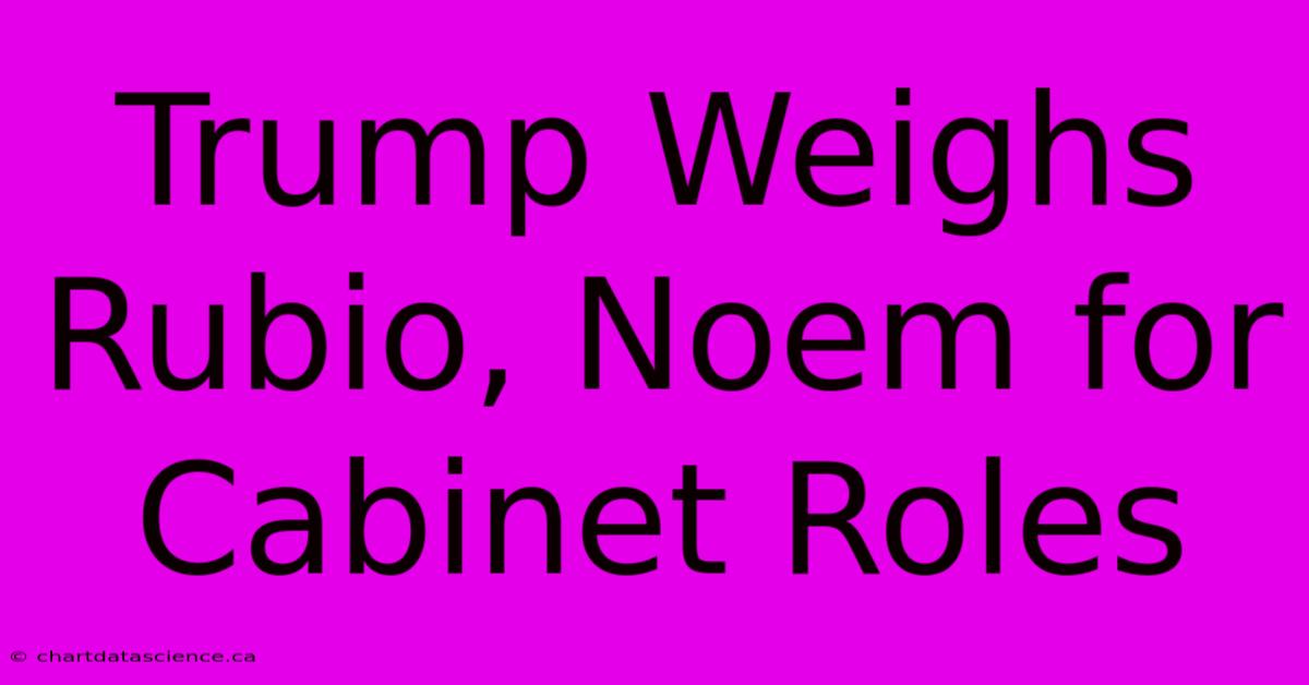 Trump Weighs Rubio, Noem For Cabinet Roles