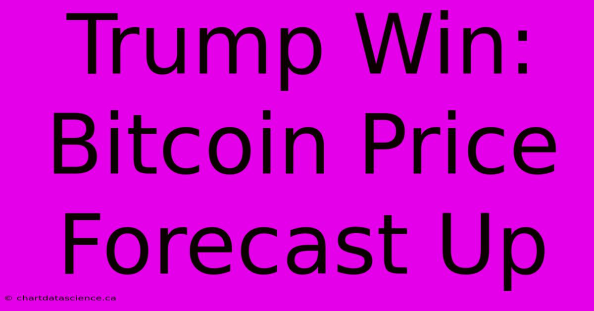 Trump Win: Bitcoin Price Forecast Up