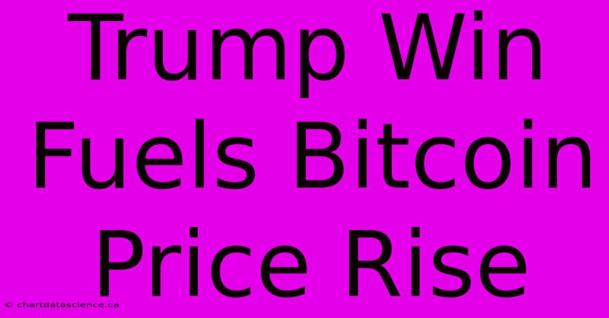 Trump Win Fuels Bitcoin Price Rise