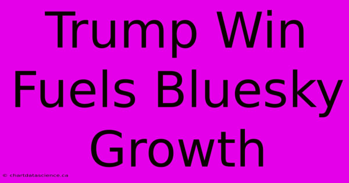 Trump Win Fuels Bluesky Growth