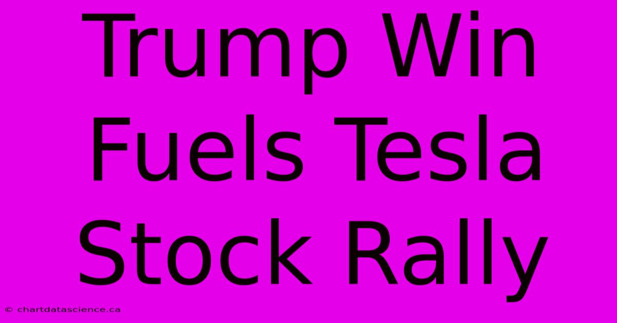 Trump Win Fuels Tesla Stock Rally