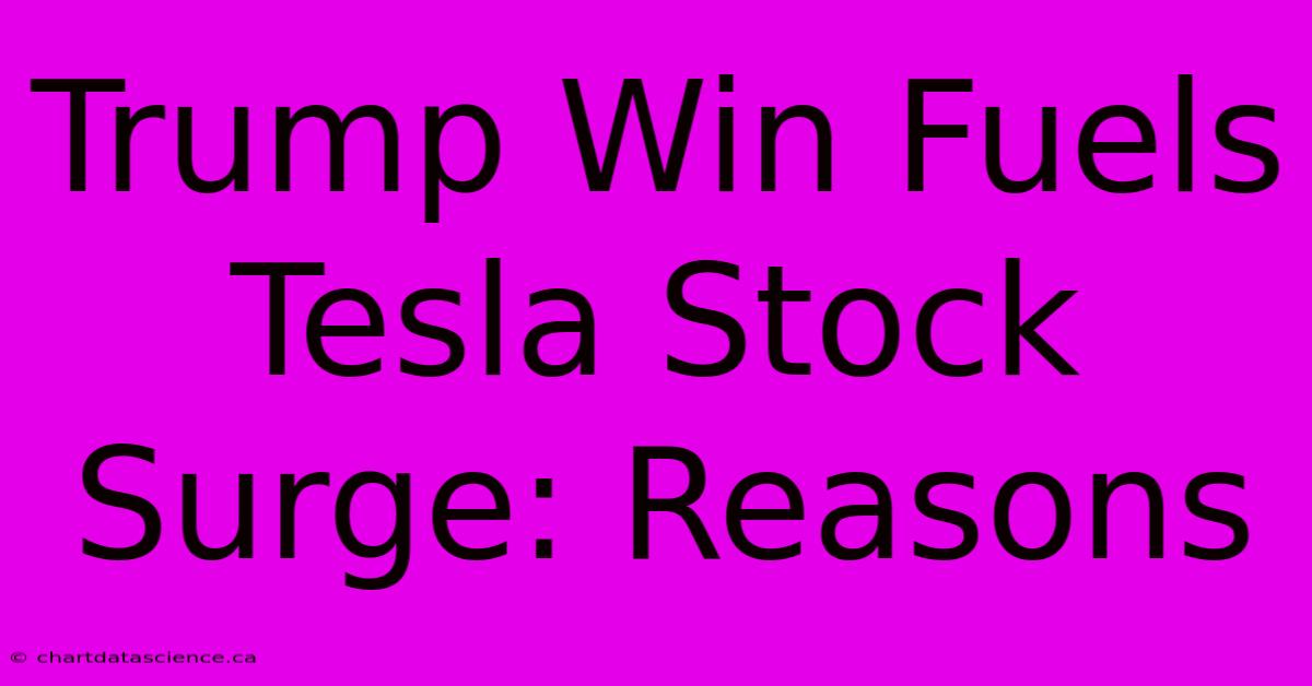 Trump Win Fuels Tesla Stock Surge: Reasons