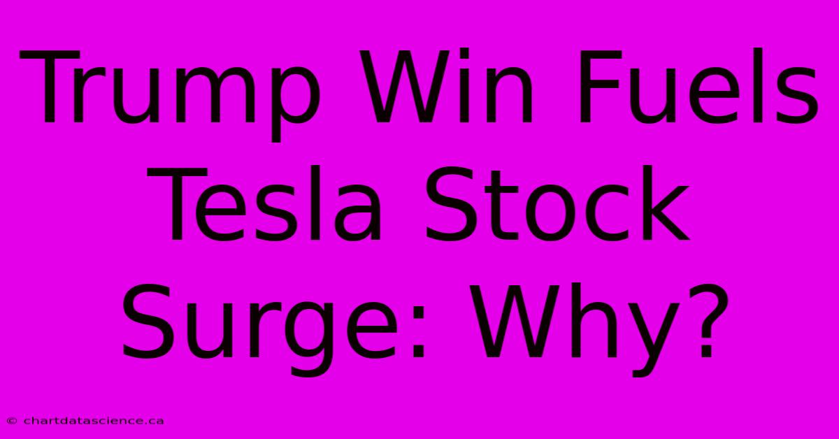 Trump Win Fuels Tesla Stock Surge: Why?