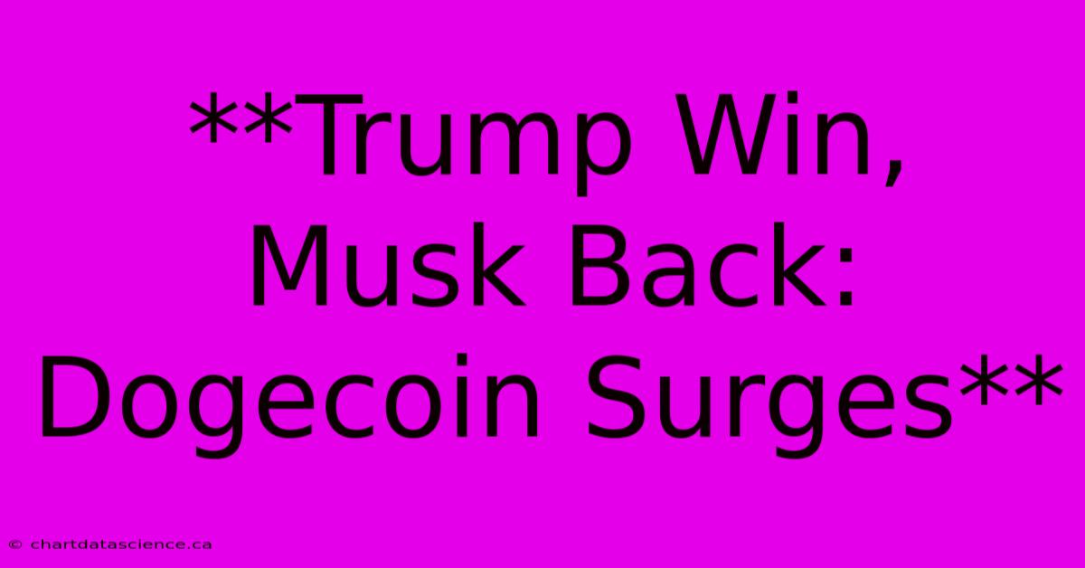 **Trump Win, Musk Back: Dogecoin Surges**