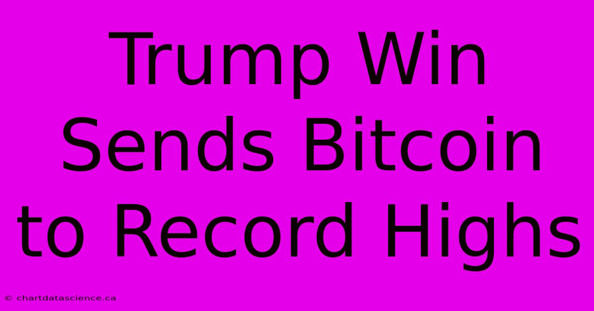 Trump Win Sends Bitcoin To Record Highs