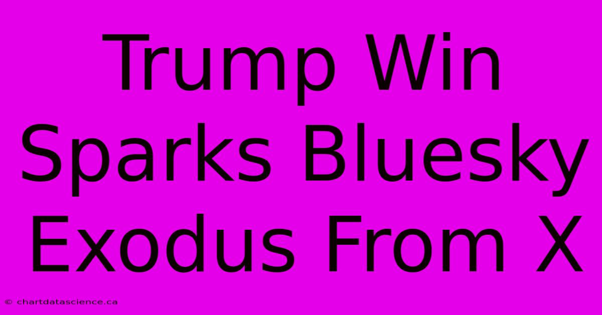 Trump Win Sparks Bluesky Exodus From X