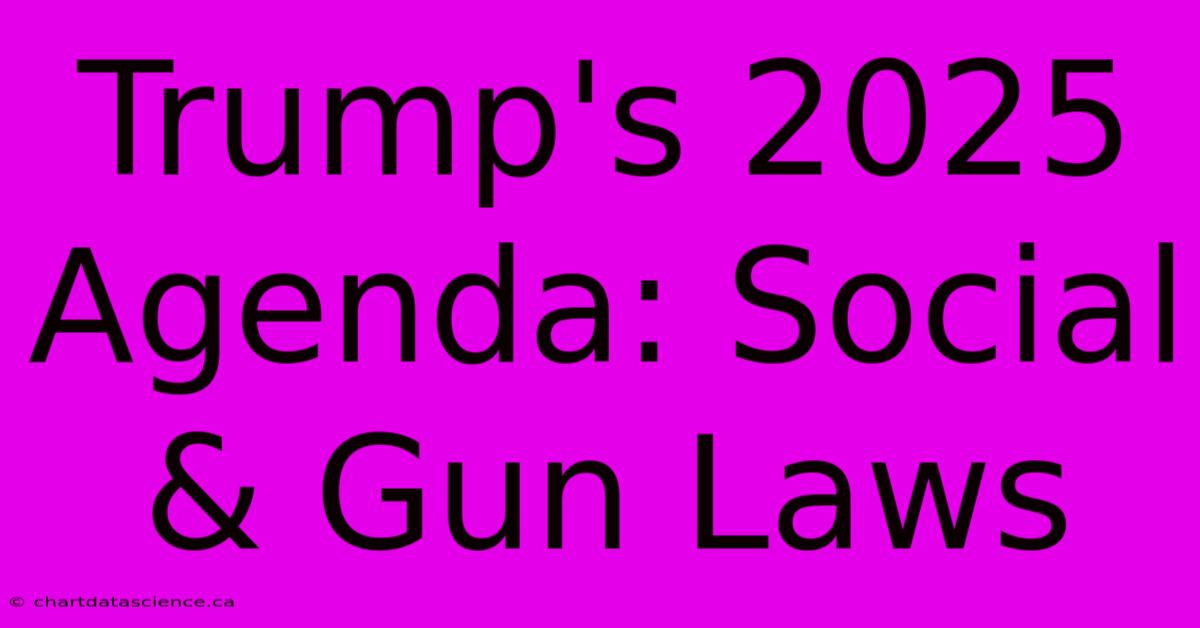 Trump's 2025 Agenda: Social & Gun Laws 