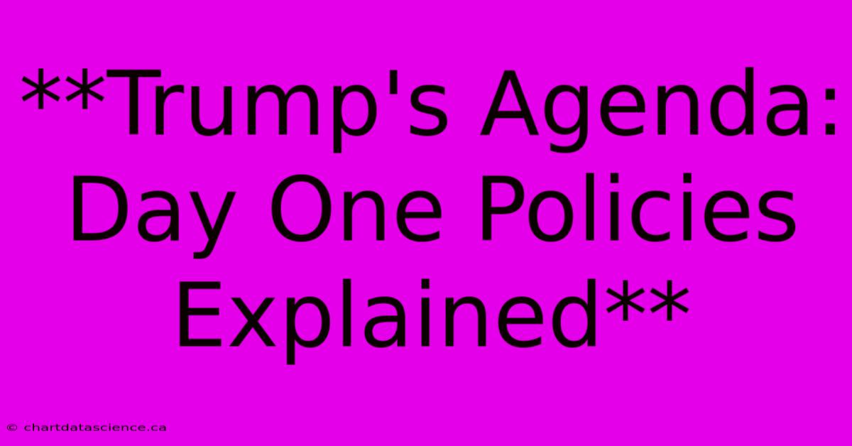 **Trump's Agenda: Day One Policies Explained**