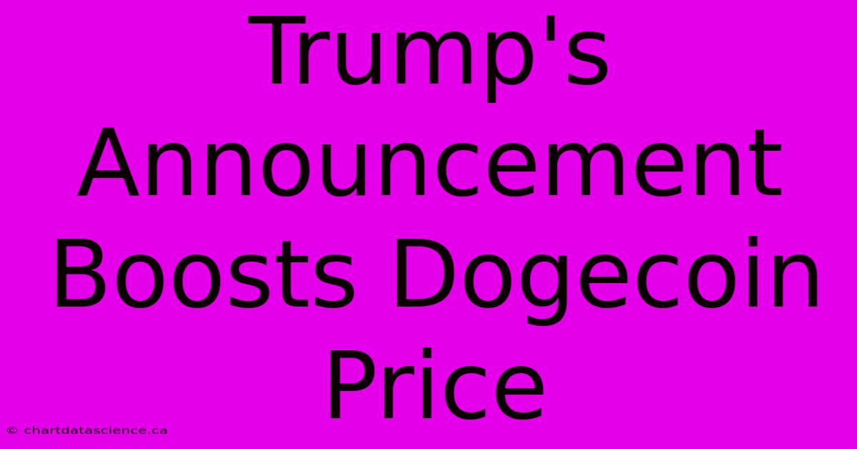 Trump's Announcement Boosts Dogecoin Price