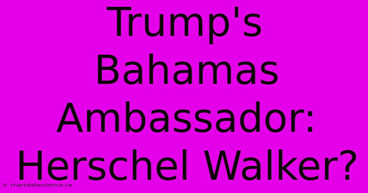 Trump's Bahamas Ambassador: Herschel Walker?