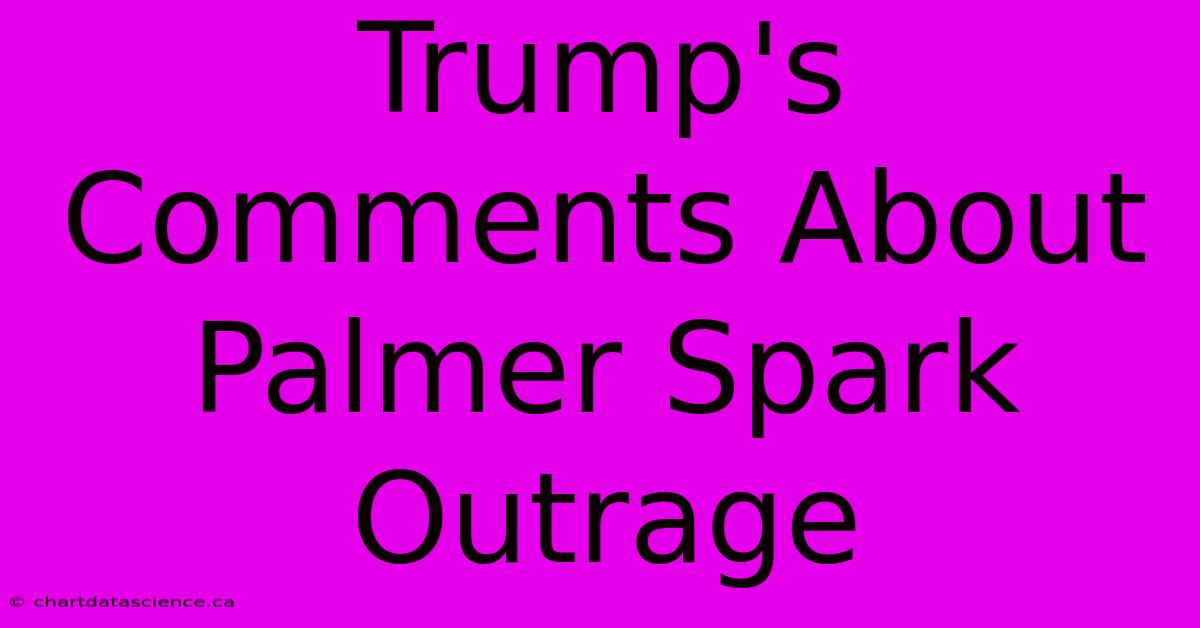 Trump's Comments About Palmer Spark Outrage 