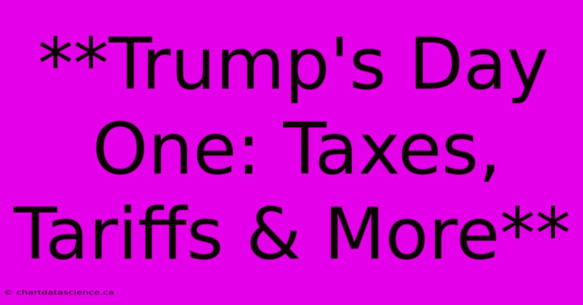 **Trump's Day One: Taxes, Tariffs & More** 