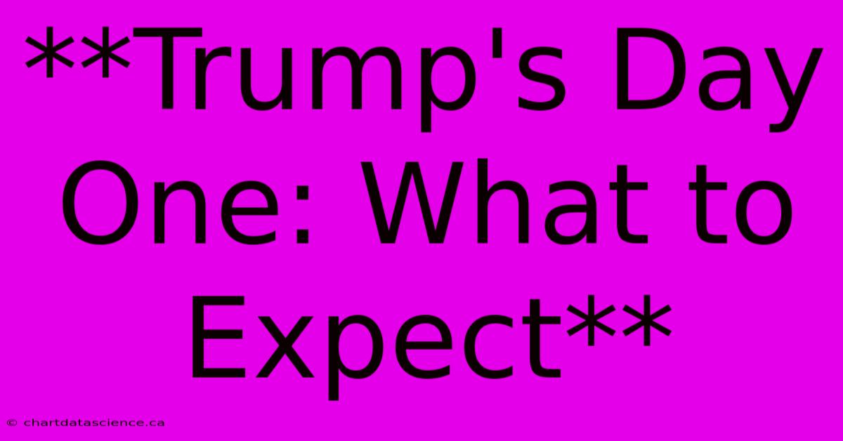 **Trump's Day One: What To Expect**