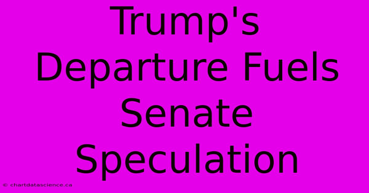 Trump's Departure Fuels Senate Speculation