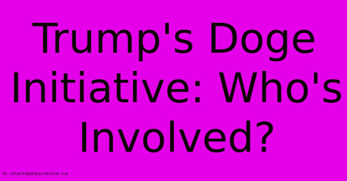 Trump's Doge Initiative: Who's Involved?