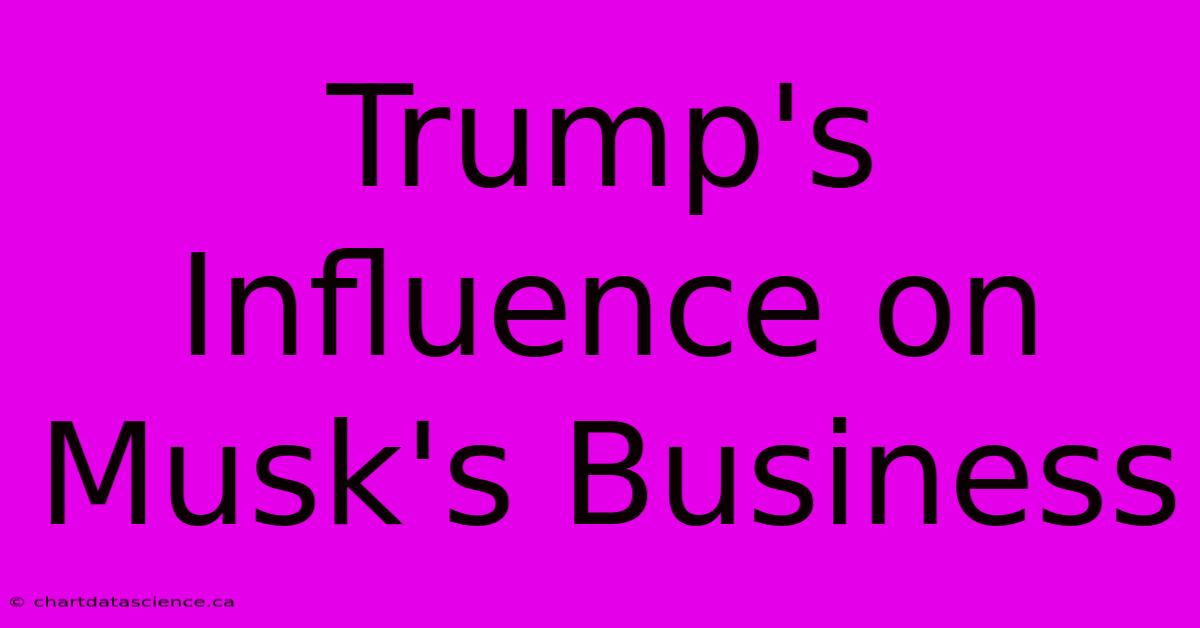 Trump's Influence On Musk's Business