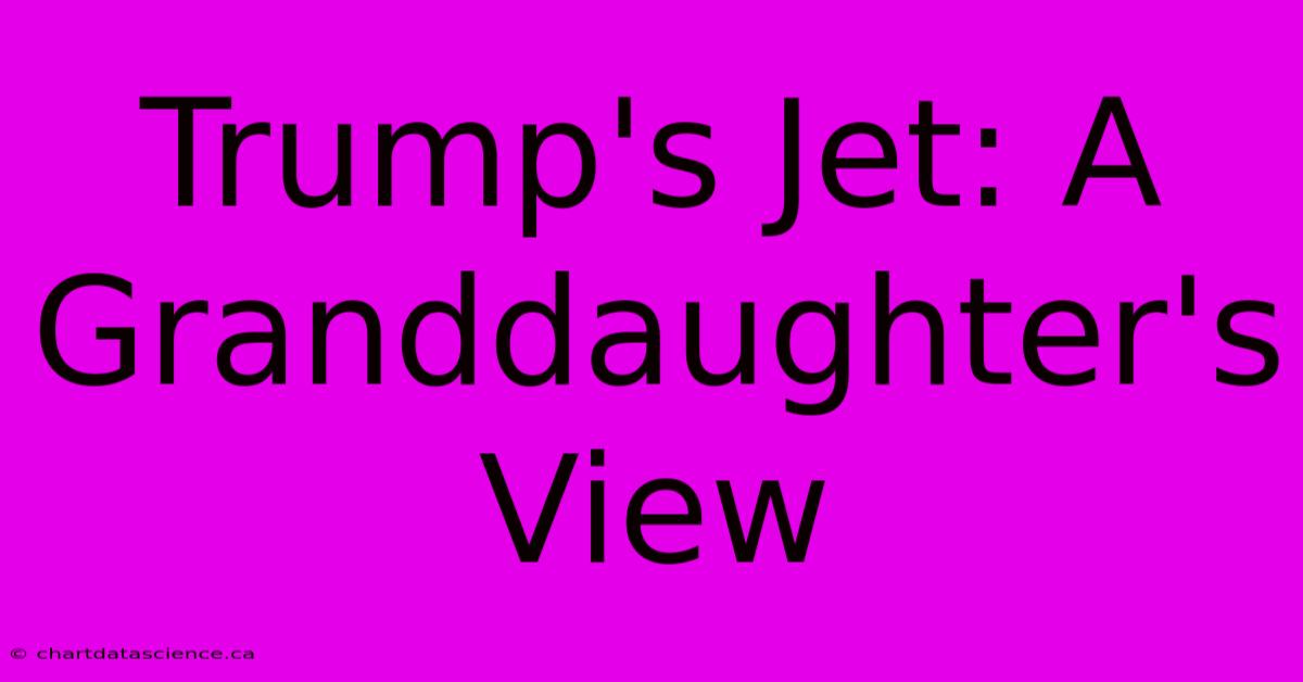 Trump's Jet: A Granddaughter's View