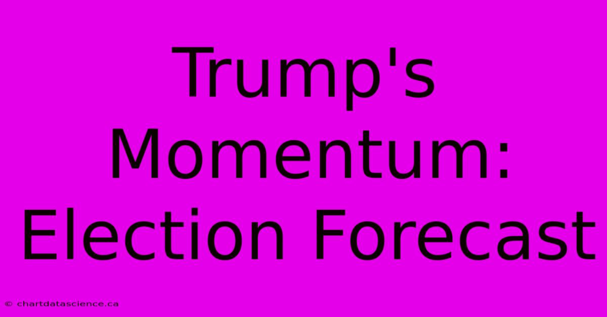 Trump's Momentum: Election Forecast