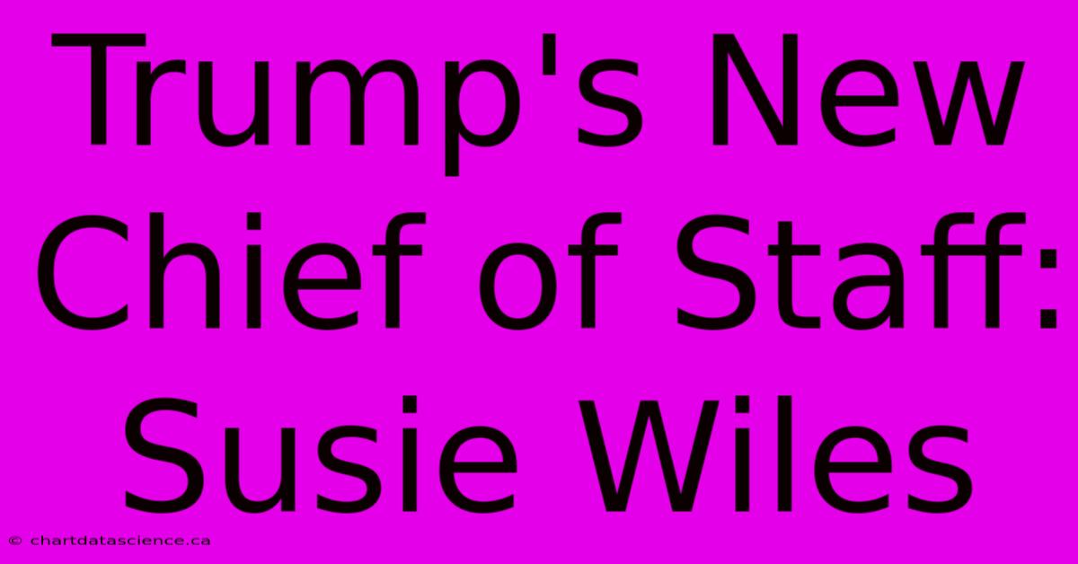 Trump's New Chief Of Staff: Susie Wiles 