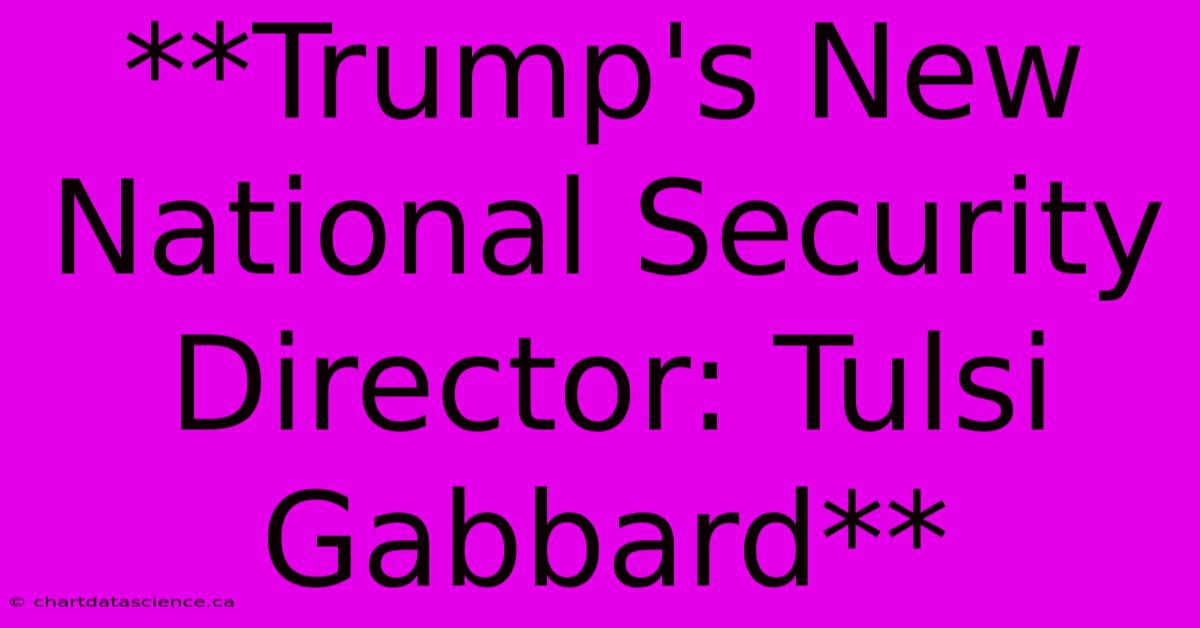 **Trump's New National Security Director: Tulsi Gabbard** 