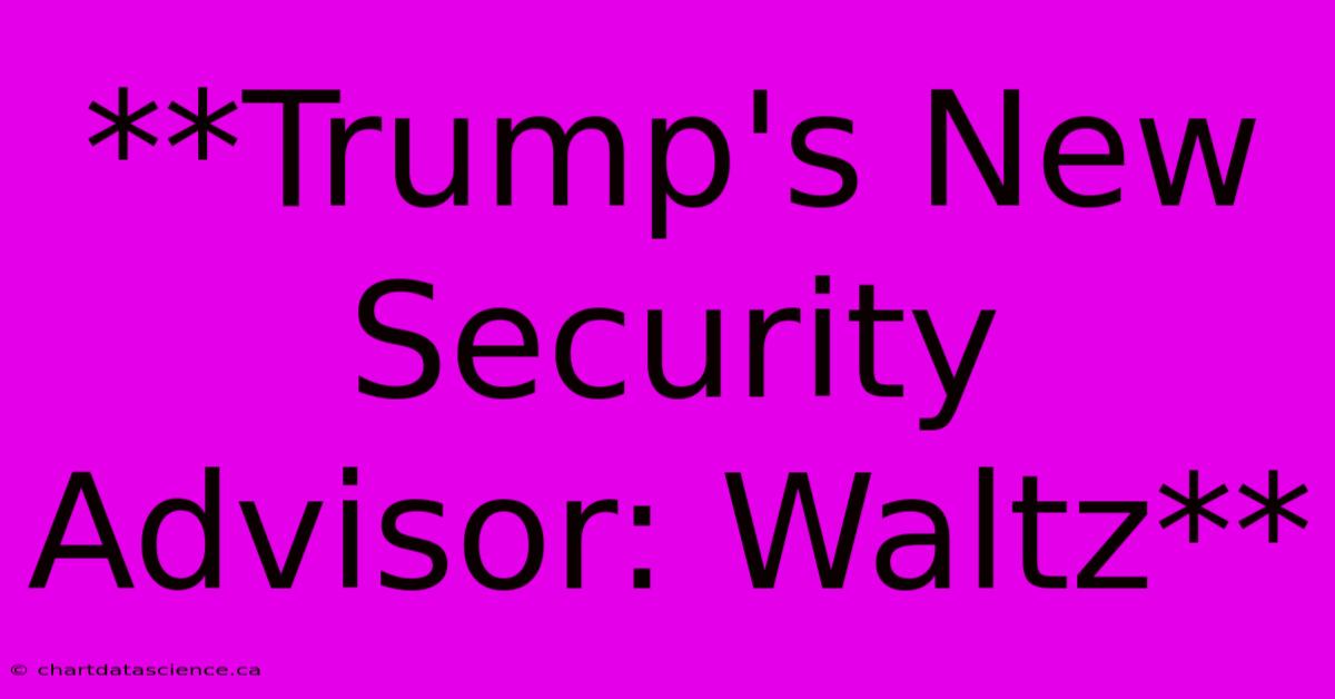 **Trump's New Security Advisor: Waltz** 