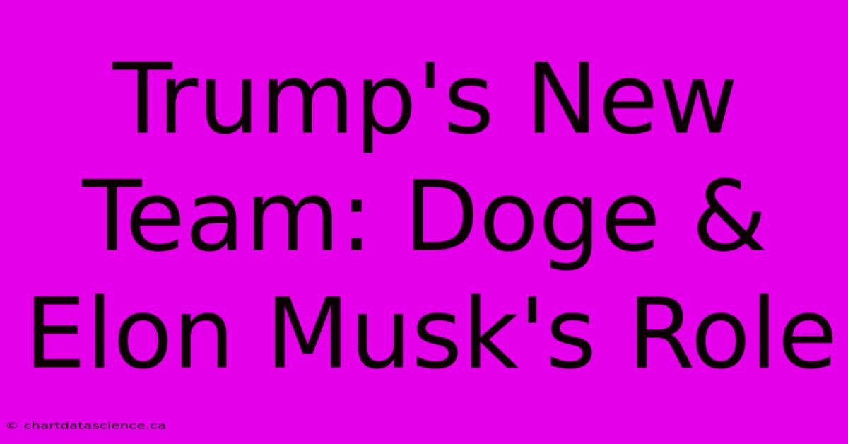 Trump's New Team: Doge & Elon Musk's Role