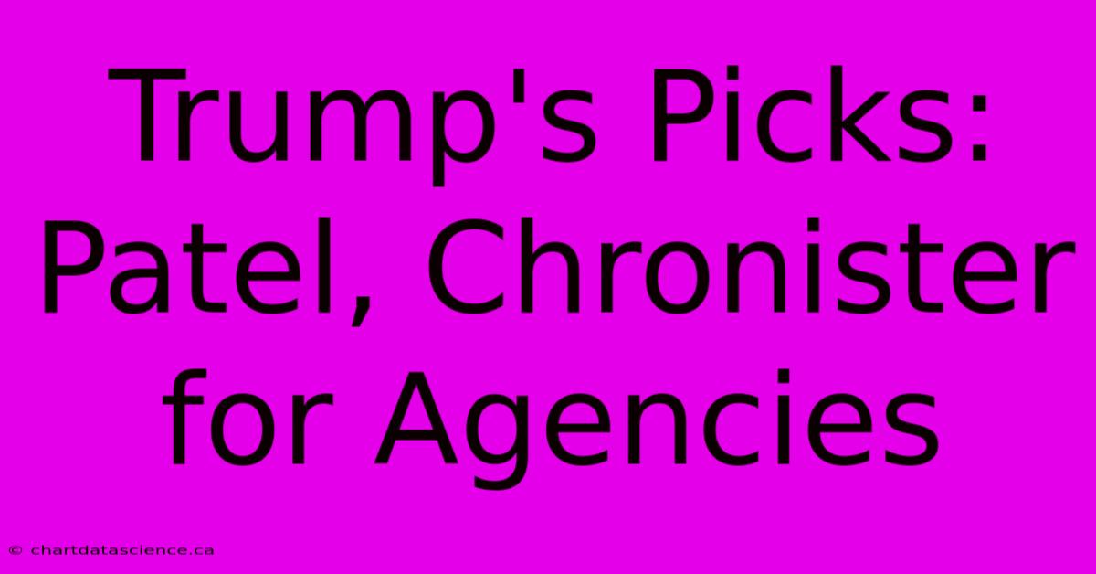 Trump's Picks: Patel, Chronister For Agencies