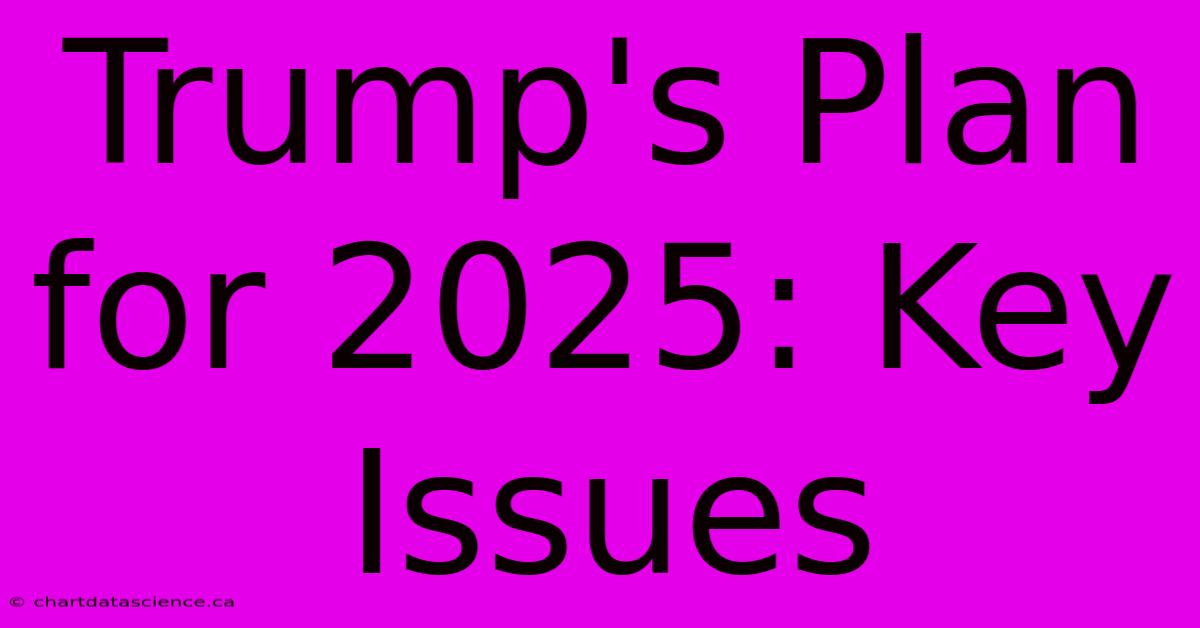 Trump's Plan For 2025: Key Issues