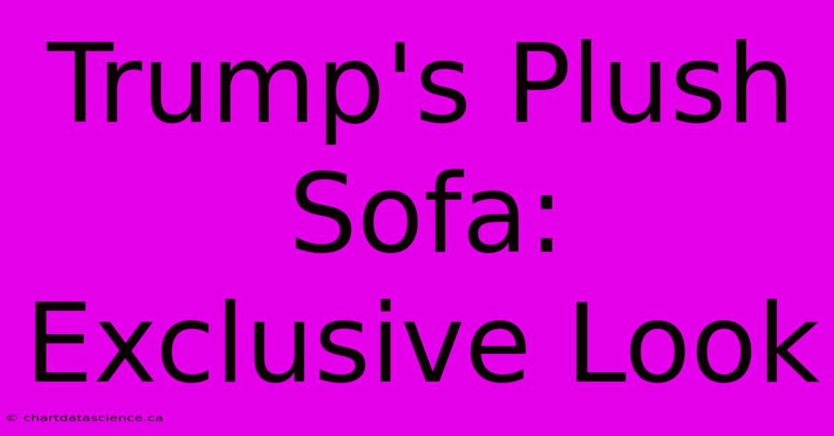 Trump's Plush Sofa: Exclusive Look