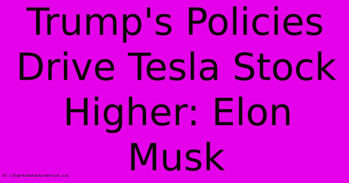 Trump's Policies Drive Tesla Stock Higher: Elon Musk 