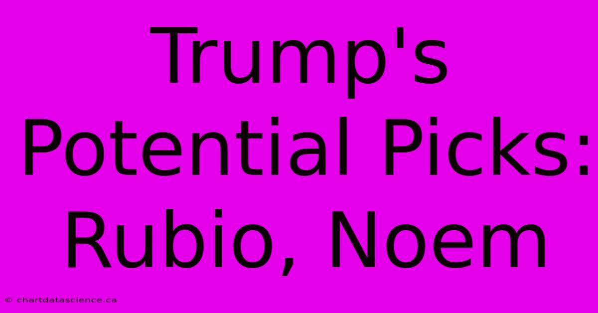 Trump's Potential Picks: Rubio, Noem 