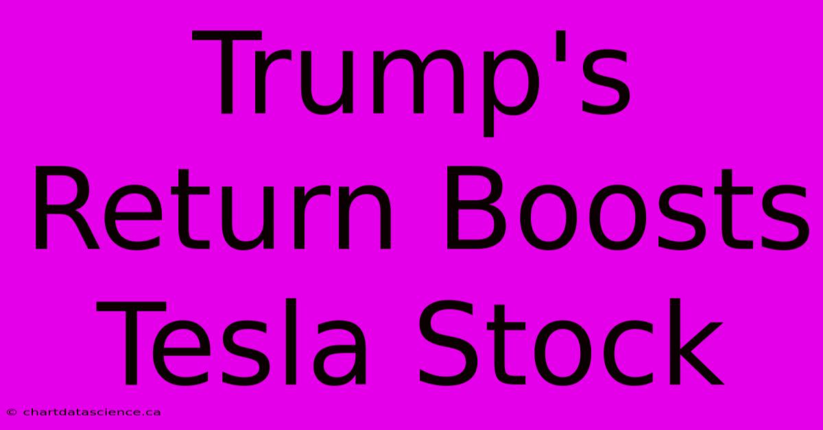 Trump's Return Boosts Tesla Stock