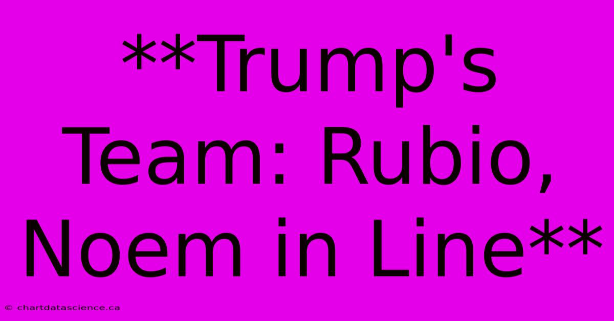 **Trump's Team: Rubio, Noem In Line**